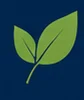Natural Healing Green leaves icon representing natural healing and holistic wellness solutions.